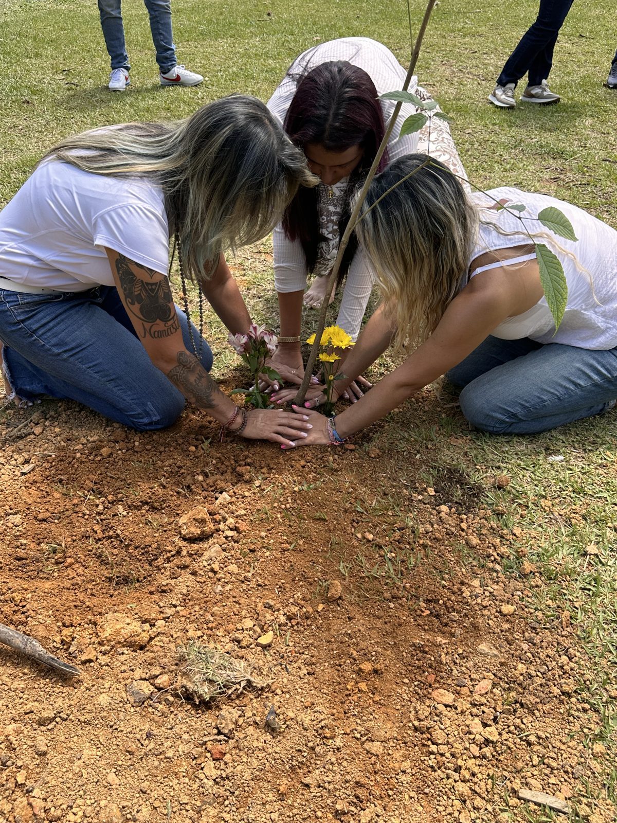 Manos unidas sobre la tierra al pie de un árbol sembrado con flores